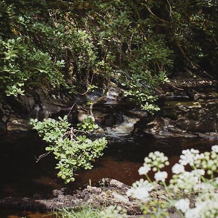 River Cottage, A Luxurious And Cosy Riverside Cottage For Two Welshpool Exterior photo